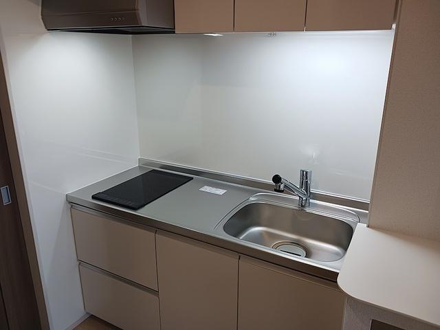 ヒカルサ甲府住吉　サウス（202） その他部屋・スペース