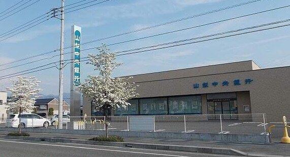 しまむら古上条店：500m