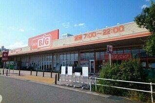 ザ・ビッグイオンタウン店：600m