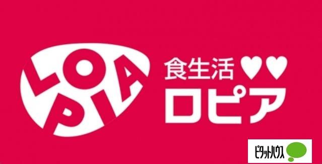ロピア甲府ヨドバシ店：295m