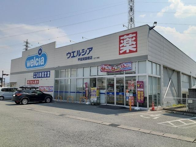 ウエルシア甲斐開国橋店：250m