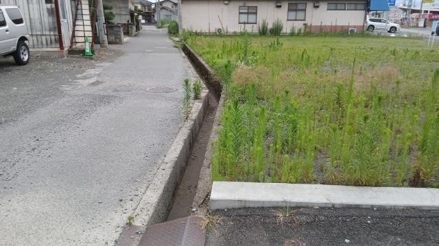 甲府市大里町151坪売地 土地画像