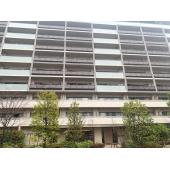 おしゃれな外観です