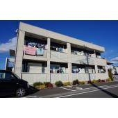 外観もきれいです