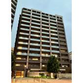 外観も気になるポイント