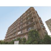 きれいな外観です