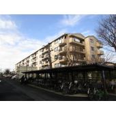 おしゃれな外観です