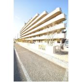 外観も気になるポイント