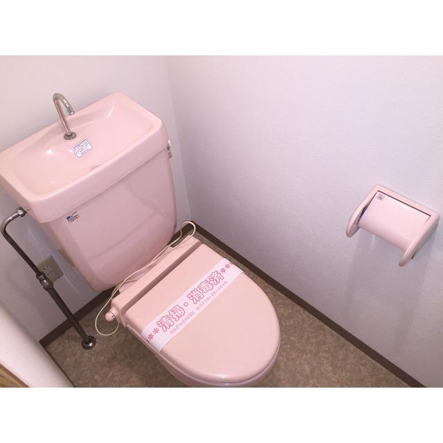 マンション大橋（305） トイレ