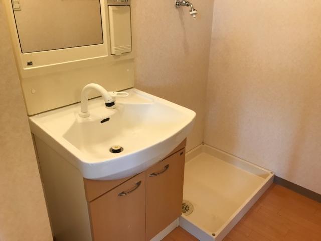 グレイスピア 洗面