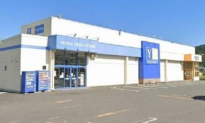 薬王堂南部町店：350m