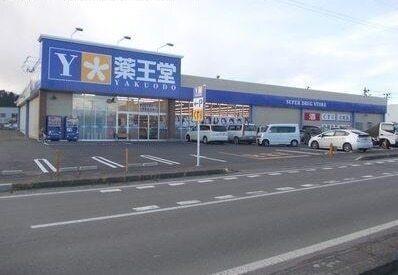 薬王堂久慈川崎町店：210m