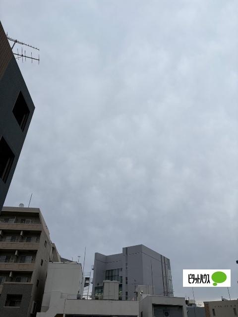 ＺＯＯＭ本郷（1001） 眺望