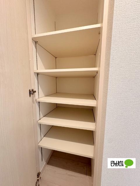 レピュア小石川レジデンス（501） 収納