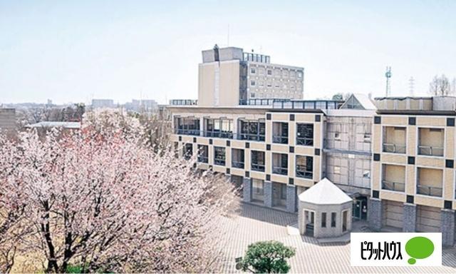 私立跡見学園女子大学：1199m