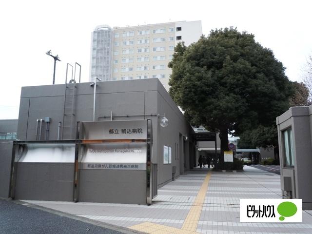 がん・感染症センター都立駒込病院：1378m