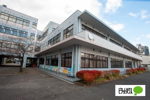 国立東京学芸大学教育学部附属竹早小学校：243m
