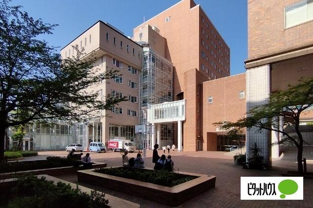 私立文京学院大学：378m