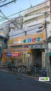 どらっぐぱぱす新江戸川橋店：810m