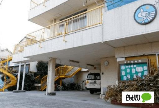 谷中幼稚園：261m