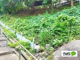 日暮里台緑地：1542m