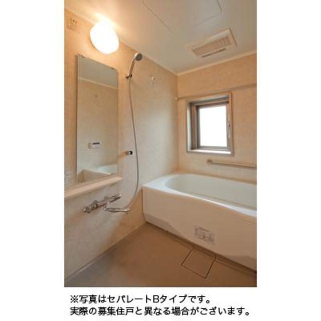 マチュリティ小石川（309） 部屋画像