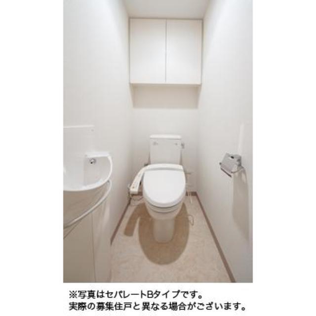 マチュリティ小石川（309） 部屋画像