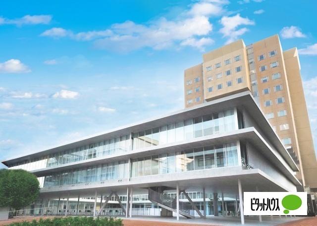 私立日本女子大学：489m