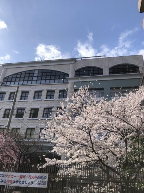 小学校