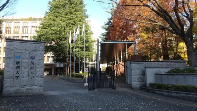 大学