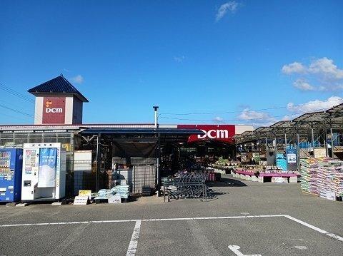 カーサ・ドマーニ　Ⅱ 部屋画像