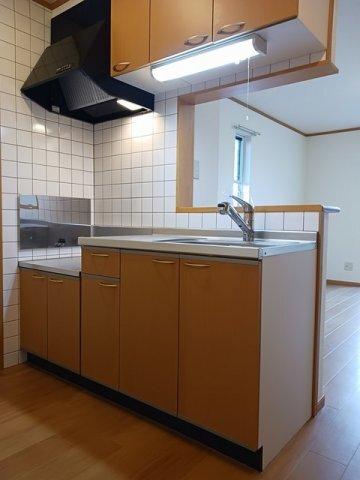 ルミナス藍住Ａ（101） 部屋画像