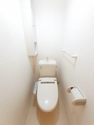 ライトブレス　Ｂ（101） 部屋画像
