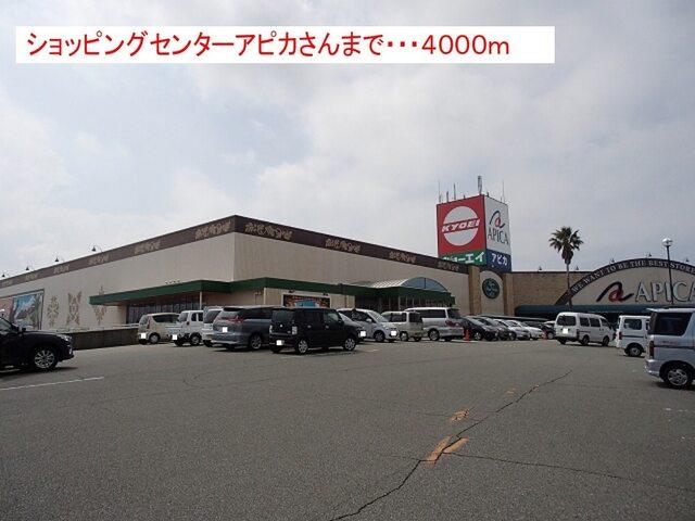 アピカ様：4000m