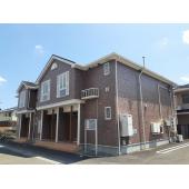 外観も気になるポイント