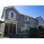 外観も気になるポイント