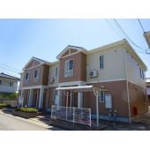 外観も気になるポイント