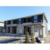 外観も気になるポイント