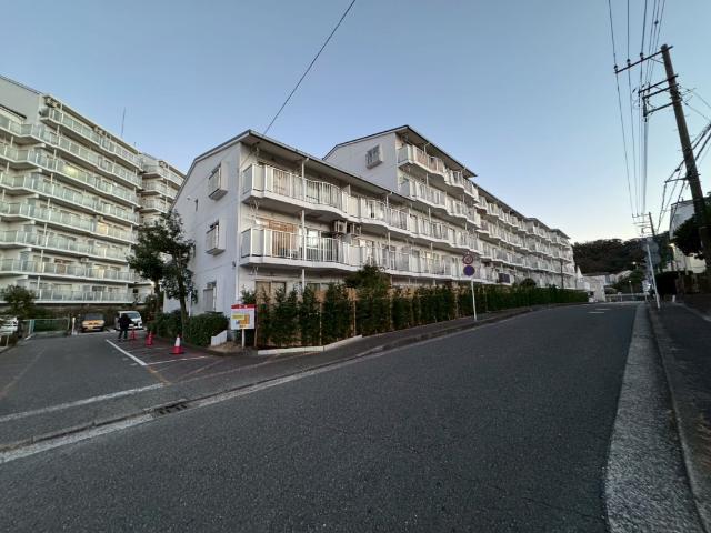 道路沿いに面しております