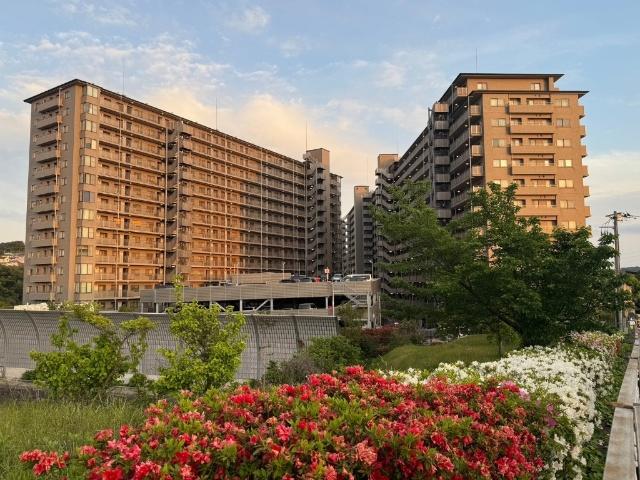 右側が５番館となっております！近所に公園やスーパーもあり便利な環境です♪