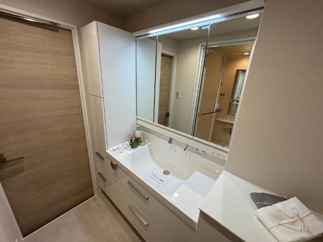 プラザ歌島参号棟 洗面