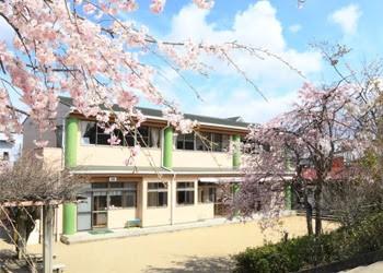 認定こども園さくらんぼ幼稚園