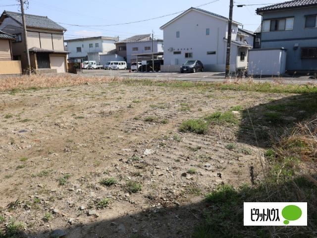 現地写真