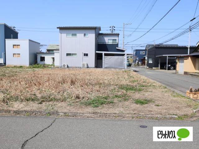 現地写真