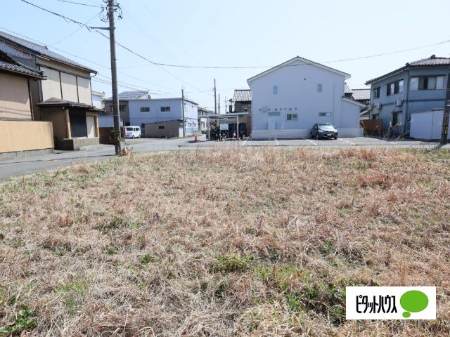 現地写真