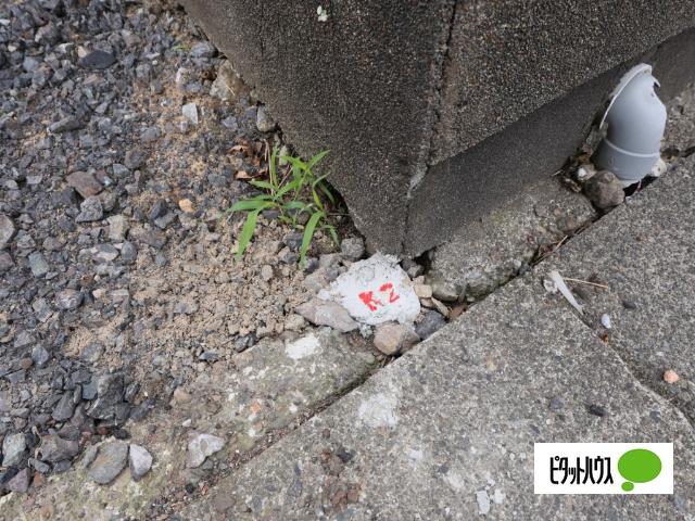 鯖江市水落町３丁目 土地画像