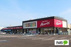 Hearts神中