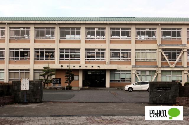 越前市武生西小学校
