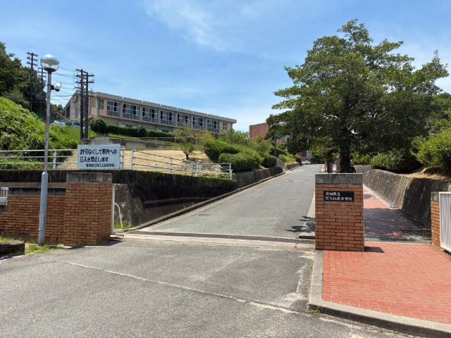高校