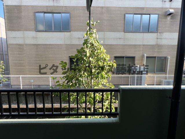 焼津市五ケ堀之内マンション 部屋画像